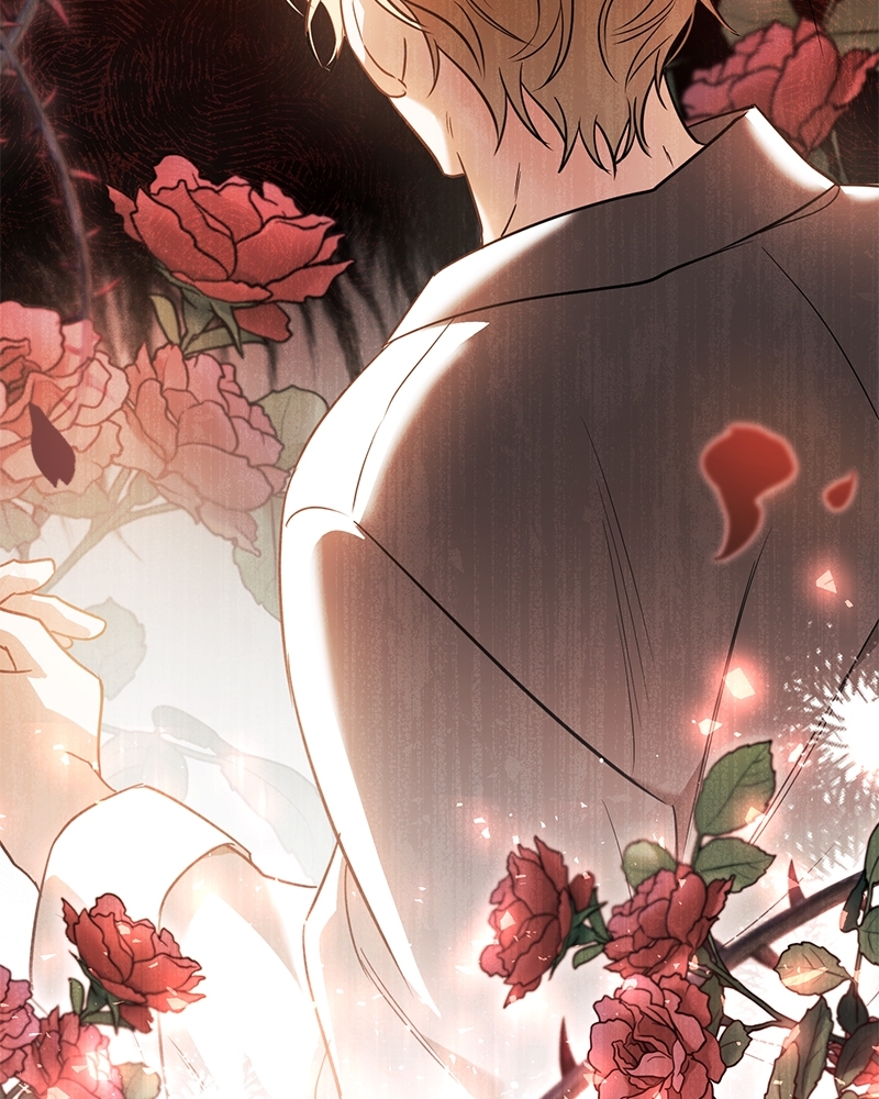 Shadowless Night 24 089